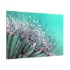 91638-85.jpg Water Droplets Dandelion Seeds Standard Canvas