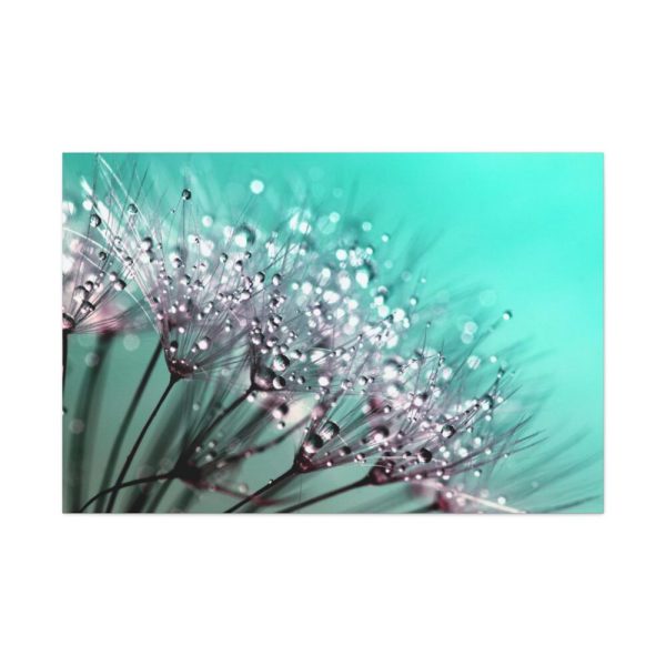 91638-86.jpg Water Droplets Dandelion Seeds Standard Canvas