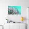 91638-87.jpg Water Droplets Dandelion Seeds Standard Canvas