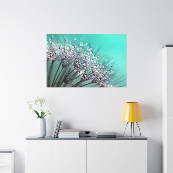 91638-87.jpg Water Droplets Dandelion Seeds Standard Canvas