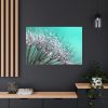 91638-88.jpg Water Droplets Dandelion Seeds Standard Canvas
