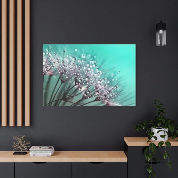 91638-88.jpg Water Droplets Dandelion Seeds Standard Canvas