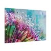 91638-95.jpg Dewdrops & Rainbows Standard Canvas