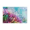91638-96.jpg Dewdrops & Rainbows Standard Canvas