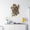 91655-27.jpg Masked Barn Owl by Elizabeth Gould Standard Canvas