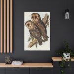 Masked Barn Owl by Elizabeth Gould Standard Canvas - Image 4