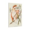 91655-35.jpg Leadbeater's Cockatoo by Elizabeth Gould Framed Canvas
