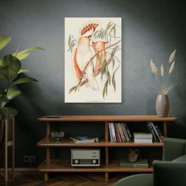 91655-39.jpg Leadbeater's Cockatoo by Elizabeth Gould Framed Canvas