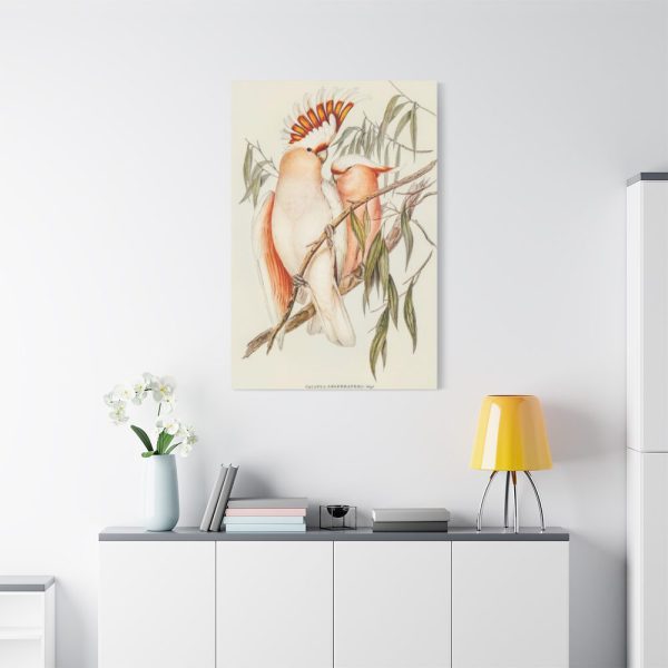 91655-42.jpg Leadbeater's Cockatoo by Elizabeth Gould Standard Canvas