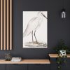 91655-48.jpg Indian White Heron by John Edward Gray Standard Canvas