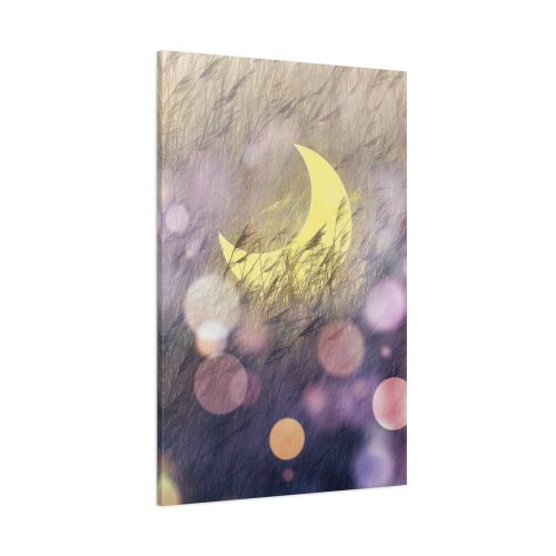 91655-5.jpg Moon Field Standard Canvas