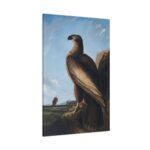 Washington Sea Eagle by John James Audubon Standard Canvas