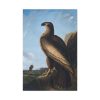91655-56.jpg Washington Sea Eagle by John James Audubon Standard Canvas