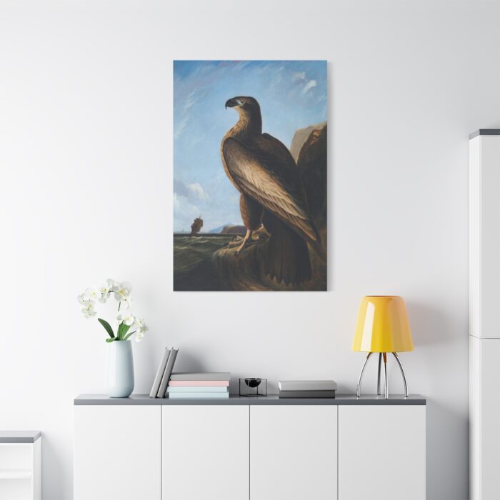 Washington Sea Eagle by John James Audubon Standard Canvas - Image 3
