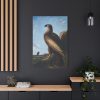 91655-58.jpg Washington Sea Eagle by John James Audubon Standard Canvas