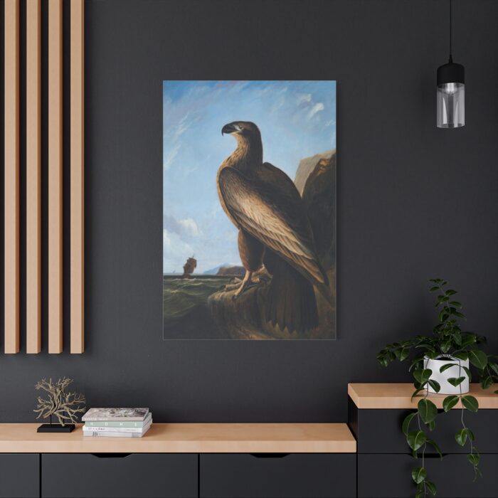 Washington Sea Eagle by John James Audubon Standard Canvas - Image 4