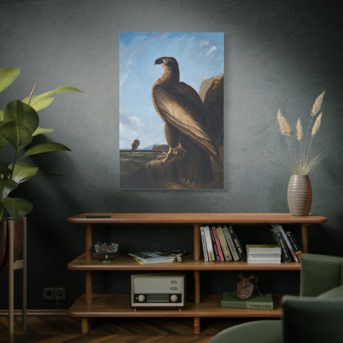 Washington Sea Eagle by John James Audubon Standard Canvas - Image 5