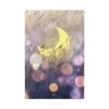 91655-6.jpg Moon Field Standard Canvas