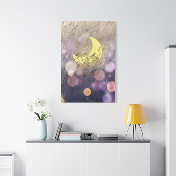 91655-7.jpg Moon Field Standard Canvas