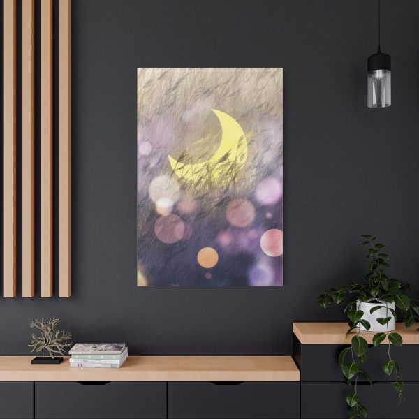 91655-8.jpg Moon Field Standard Canvas