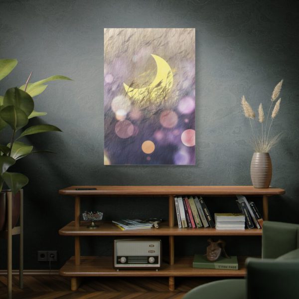 91655-9.jpg Moon Field Standard Canvas