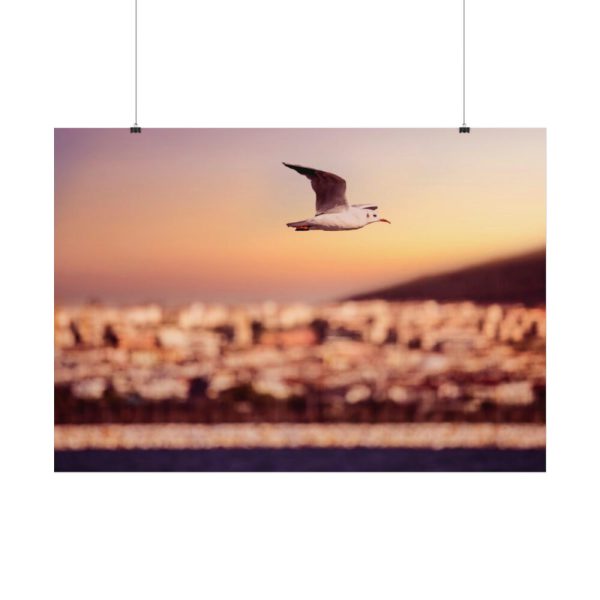 92408-121.jpg Bird Flying over Turkey Poster