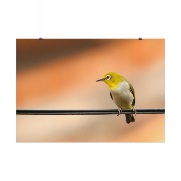 Yellow Bird Poster