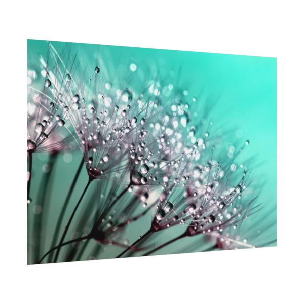 92408-137.jpg Water Droplets Dandelion Seeds Poster