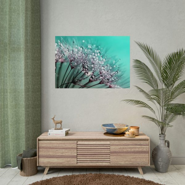 92408-138.jpg Water Droplets Dandelion Seeds Poster