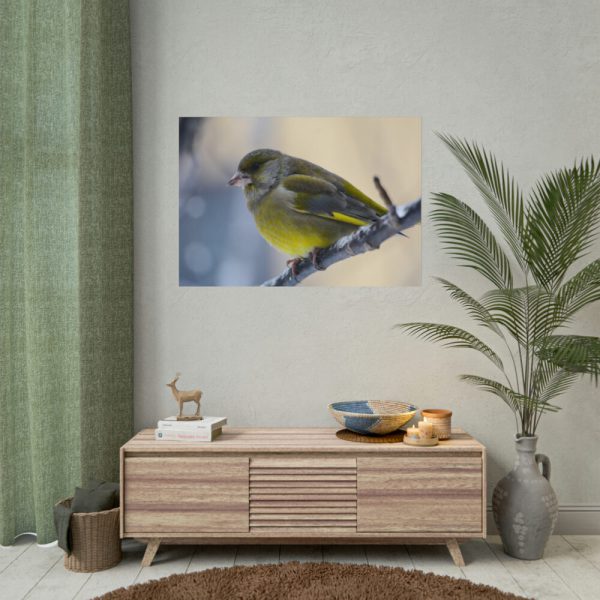 Goldfinch Bird Poster