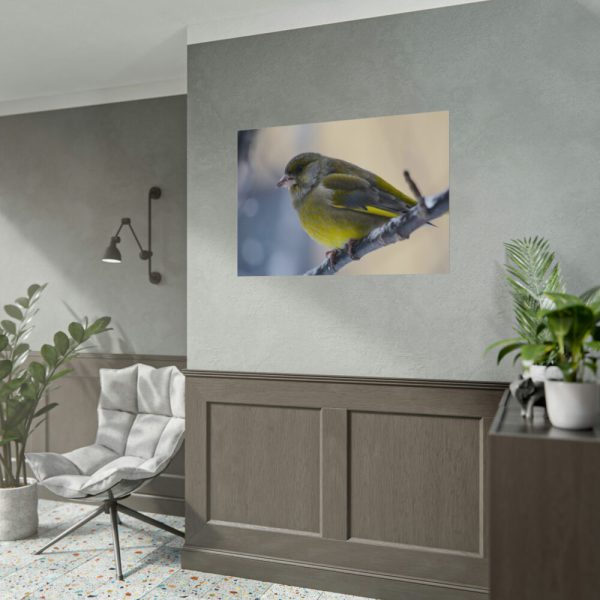 Goldfinch Bird Poster
