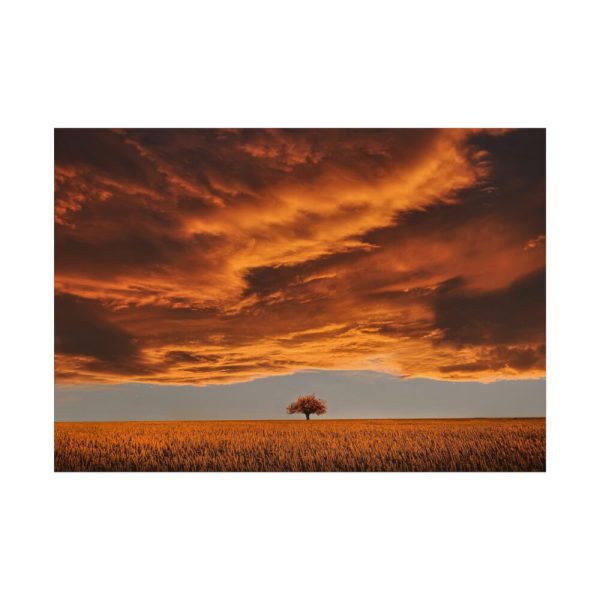Orange Scenery With Beautiful Tree Poster