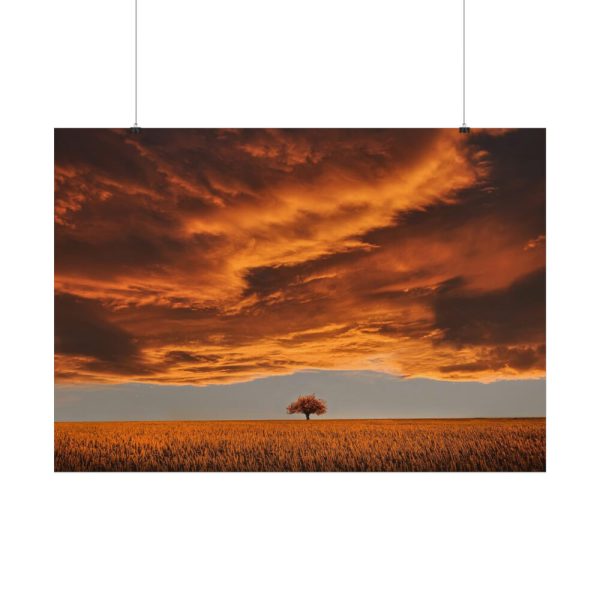 Orange Scenery With Beautiful Tree Poster