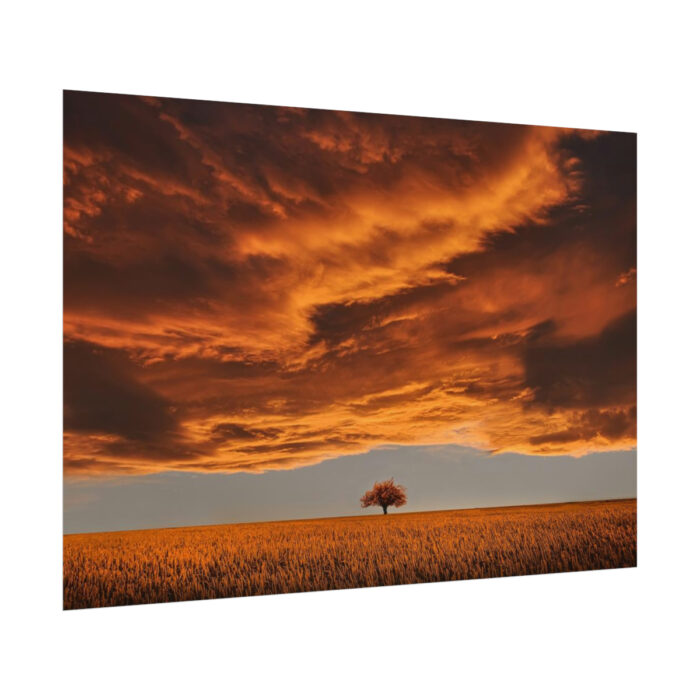 Orange Scenery With Beautiful Tree Poster - Image 3