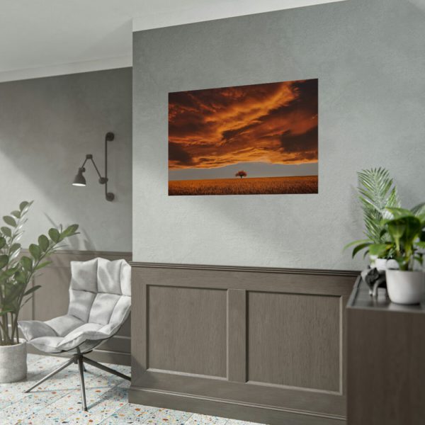 Orange Scenery With Beautiful Tree Poster