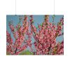 Peach Blossoms Flowering Tree Poster