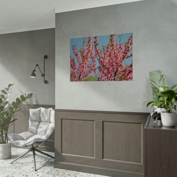 Peach Blossoms Flowering Tree Poster