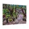 Botanical Garden Trees Poster