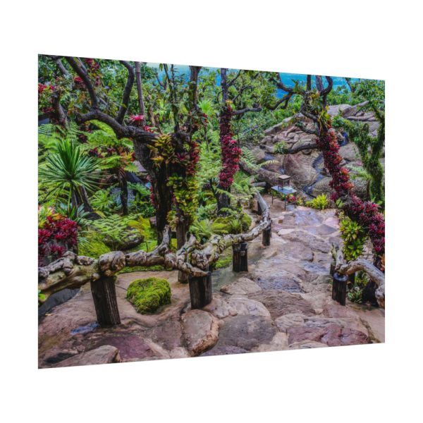 Botanical Garden Trees Poster