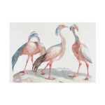 Miss Crane Birds by Johan Teyler Poster