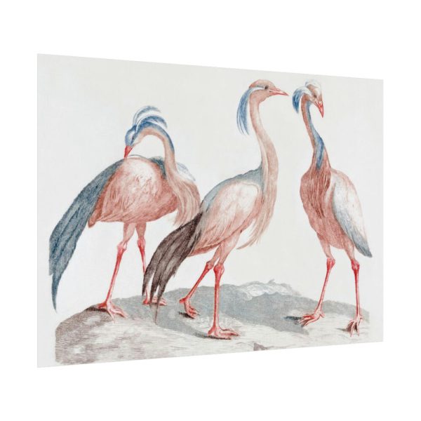 92408-212.jpg Miss Crane Birds by Johan Teyler Poster
