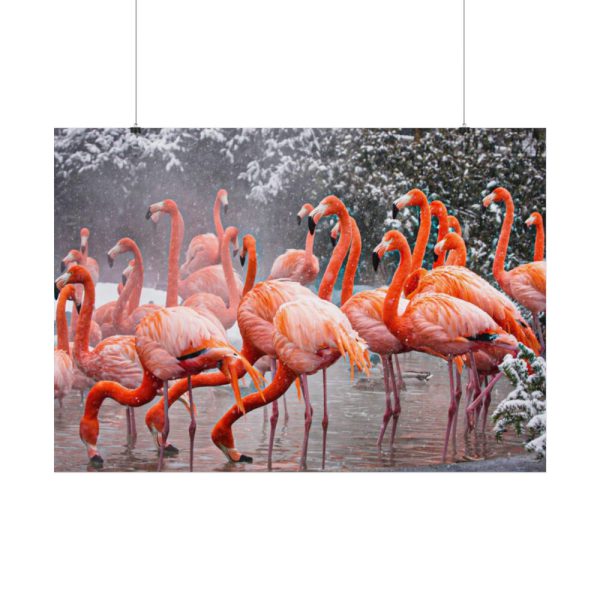 American Flamingo by Mehgan Murphy Poster
