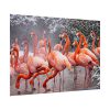 American Flamingo by Mehgan Murphy Poster