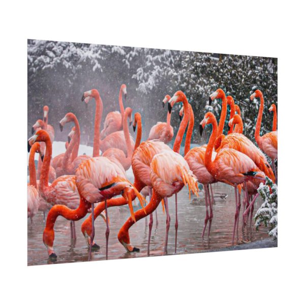 American Flamingo by Mehgan Murphy Poster
