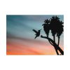 Hummingbird Poster