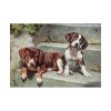 92408-225.jpg Dogs Puppies Vintage Old Poster