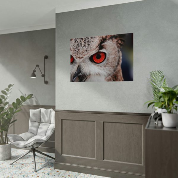 92408-254.jpg An Owl With Red Eyes Poster