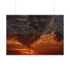 92408-256.jpg Flamingos Swarm Birds Nature Poster