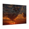 92408-257.jpg Flamingos Swarm Birds Nature Poster