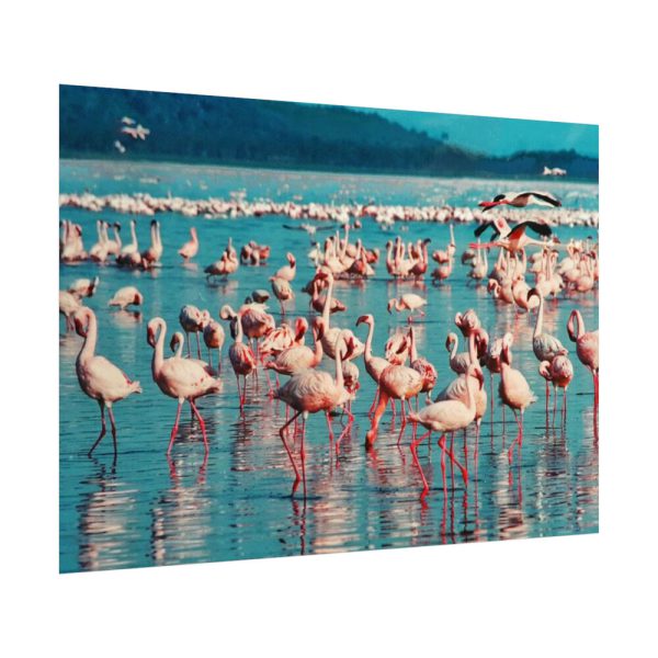 92408-287.jpg Pink Flamingo Lake Poster